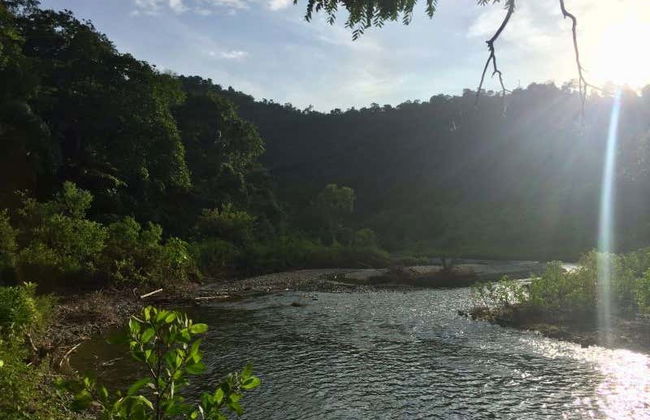 Ayampe River Birdwatching Tour - Photo 2