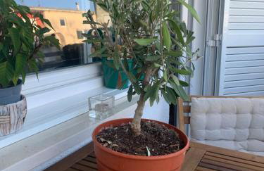 PARENTIUM TOWN BEACH - Photo 13