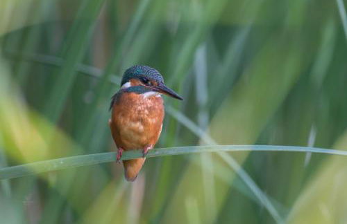 Casa Josep - Foto 57