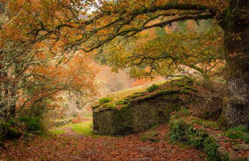 A Casoa II - Foto 48