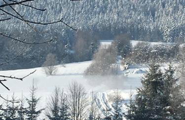 Miętowy Anioł - Foto 75