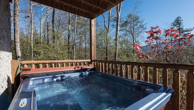 Servizio della struttura