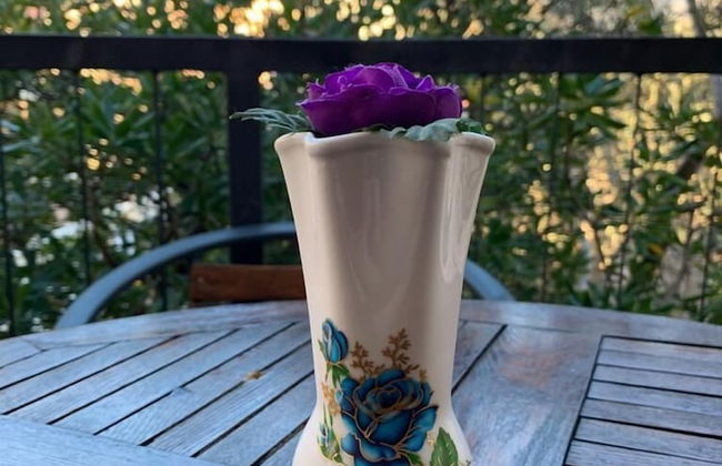 Apartments Petrovac - Foto 24