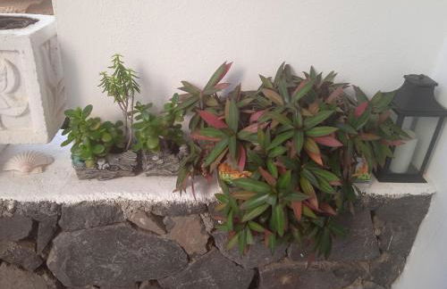 Saltflat2, be surrounded by sun, water and peace - Foto 31