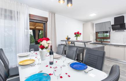 Modern villa Bibali Istra with pool in Buje - Foto 4