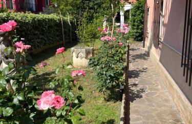 Room bikers - Photo 22