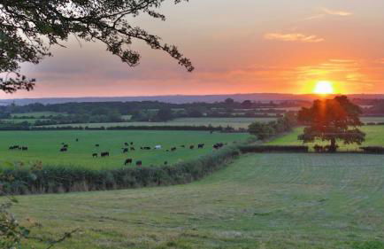 Rew Farm Country & Equestrian Accommodation - Sunrise Lodge - Foto 61