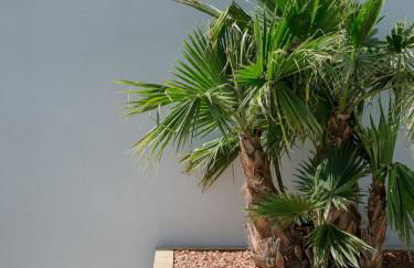 La Perle Rose Villa Standing 5 étoiles avec piscine jacuzzi et superbe vue - Foto 66