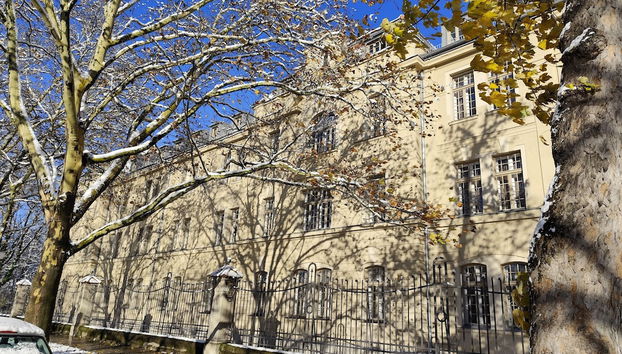 Blick auf den Garten