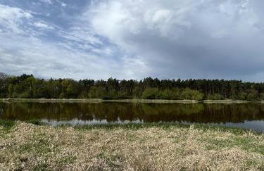 Domek w lesie - Photo 19