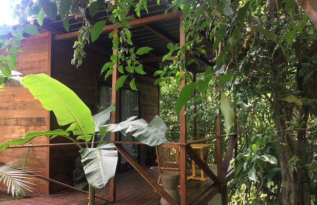 Villa Noelia - Photo 52