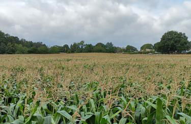 3 Bed Countryside Cottage in Harrogate with free parking and strong wifi - Photo 45