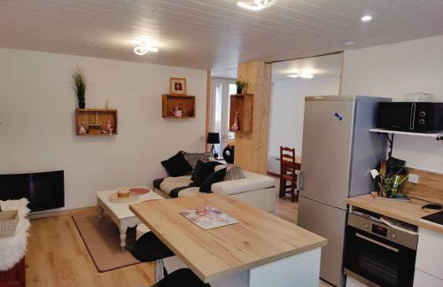 Location MarjoRI - T2 Le Roselin - Foto 7