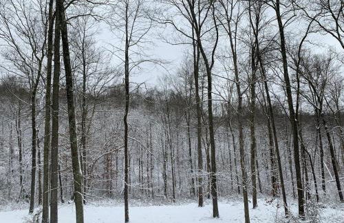 Fern Hill Cabin - Foto 37