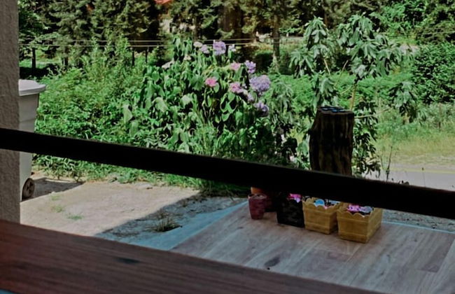 Nanus Ayder Suit - Photo 17