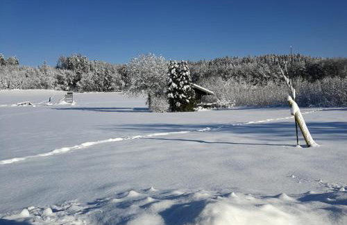 Ferienwohnung Niederbuchner - Photo 35