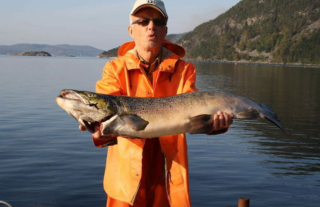 4 Person Holiday Home in Fister - Photo 17