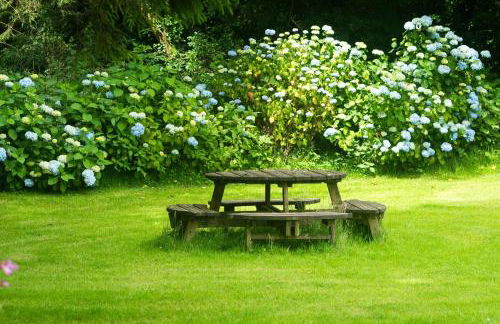 Rose Cottage - Photo 21