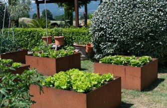 San Carlo a La Molinella - Photo 37