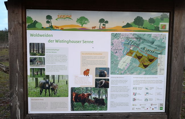 FeWo-Schuberski - Photo 19