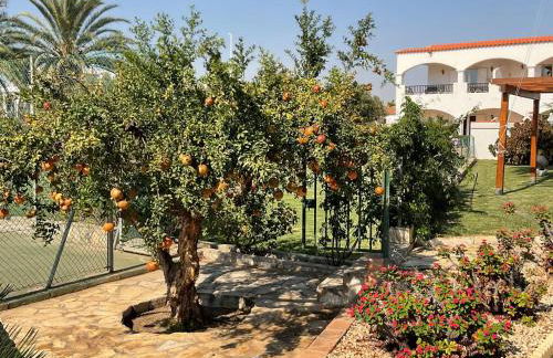 Apartamentos Turísticos Los LLanos - Foto 40