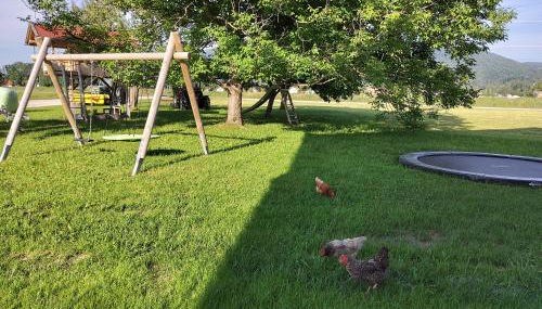 Urlaub in Benediktbeuern - Foto 2, Garden, Garden view