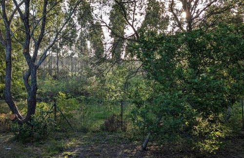 Villa Ti'plage, piscine privative, proche océan - Foto 11