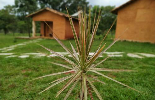 Recanto do Baru - Foto 24