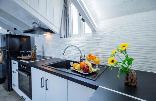 Tonias Houses - Thea House and Vrachos Attic Appartment - Foto 28