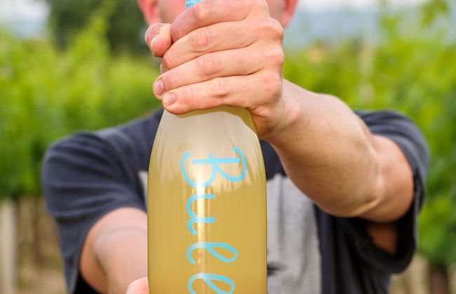 Agriturismo La Fonte - Photo 41