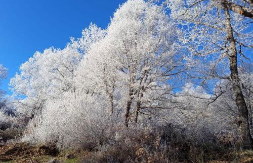 Estrella del alba - Foto 26
