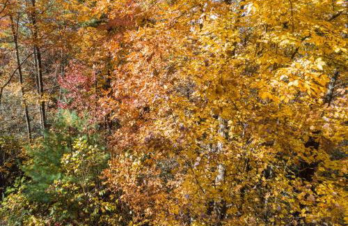 Smokies Overlook Lodge - Foto 51