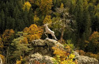 Chalet Alba - Foto 51