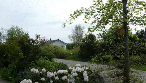 Ferienhaus Silbermöwe - Foto 3