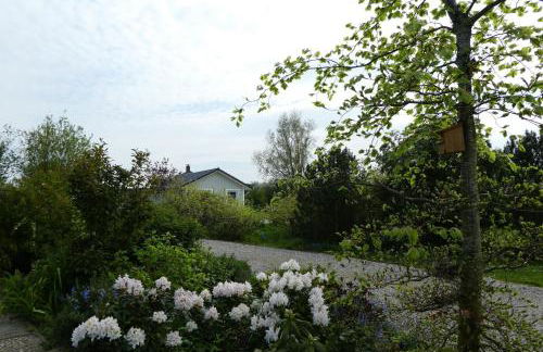 Ferienhaus Silbermöwe - Foto 3