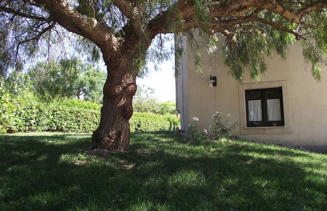 Casale delle Rose - Photo 54