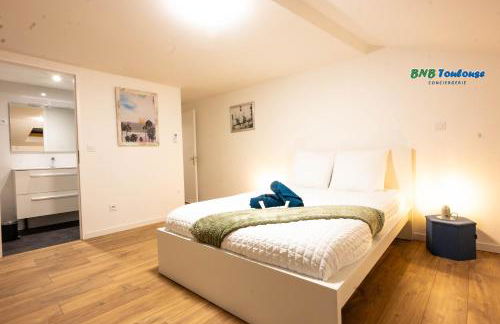 ORBIS - "Le Gaston douillet" - Clim - WiFi - Plein centre - Cour intérieure - Photo 13