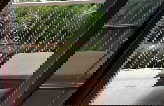 Palms of Liguanea - Foto 14