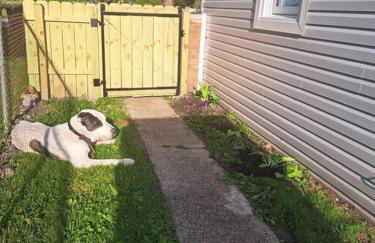 Tiny Home Baby Friendly - Foto 20