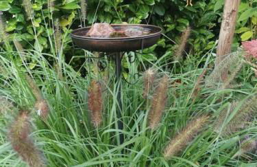 Ferienwohnung Im Eichenbleek - Foto 12