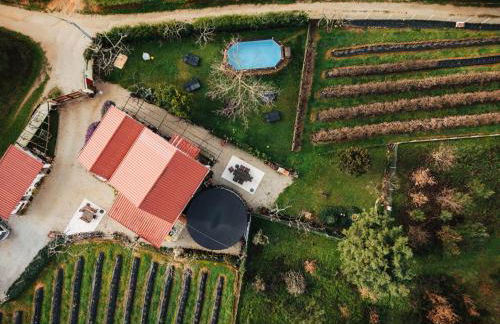 Quinta Vale Salgueiro - Foto 11