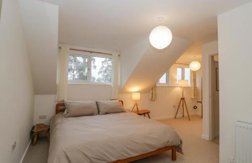 Little Foxes - Photo 28