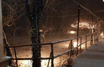 Etna, salvia e rosmarino - Foto 39