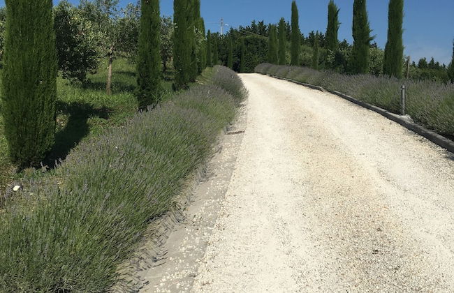 Relais Il Margarito - Foto 77