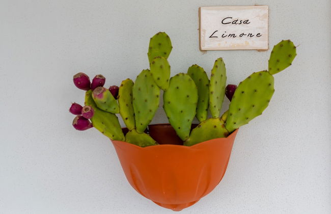 Borgo Tortorella - Casa Limone - Foto 21