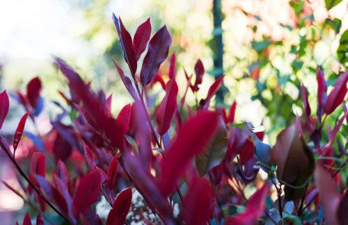 RentAndHomes Reserva de Marbella - Photo 33