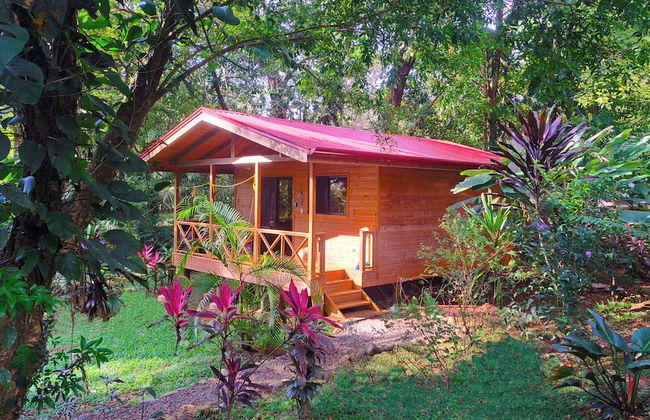 Cabinas Costa Tropicana - Foto 13