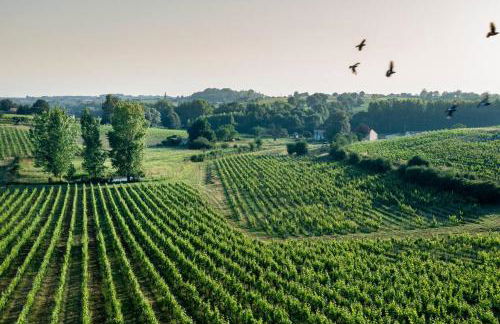 Countryhome at winery Chateau Camponac - Foto 8