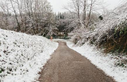 River house "Green butterfly" - Foto 26