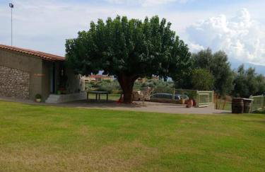 Ktimaoliva1 - Foto 32